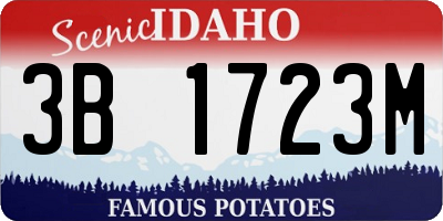 ID license plate 3B1723M