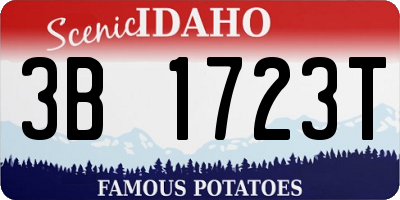 ID license plate 3B1723T