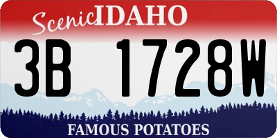 ID license plate 3B1728W