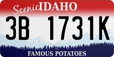 ID license plate 3B1731K