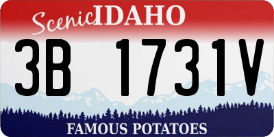 ID license plate 3B1731V