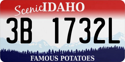 ID license plate 3B1732L