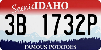 ID license plate 3B1732P