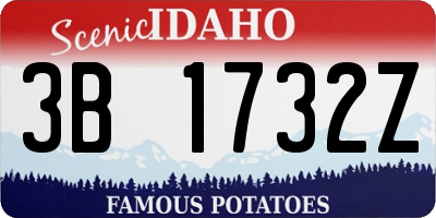 ID license plate 3B1732Z