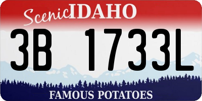 ID license plate 3B1733L
