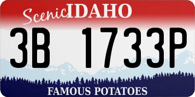 ID license plate 3B1733P
