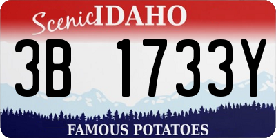 ID license plate 3B1733Y