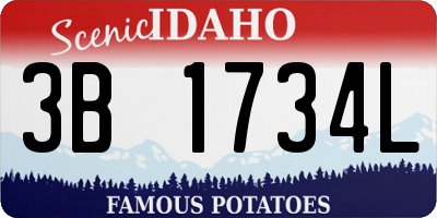 ID license plate 3B1734L