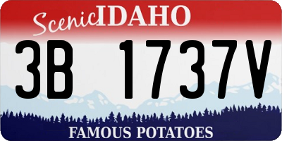 ID license plate 3B1737V