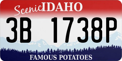 ID license plate 3B1738P