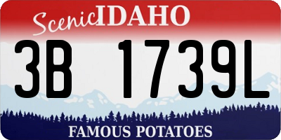 ID license plate 3B1739L