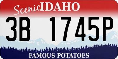 ID license plate 3B1745P