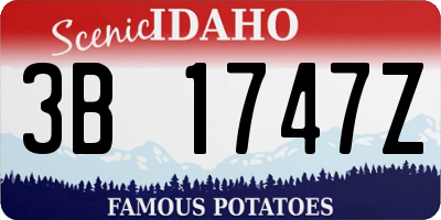 ID license plate 3B1747Z