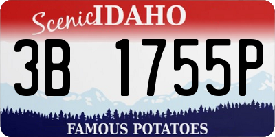 ID license plate 3B1755P