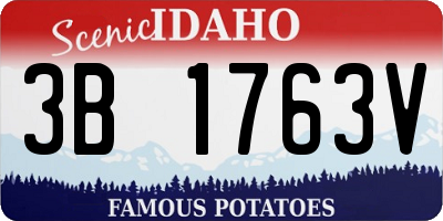 ID license plate 3B1763V