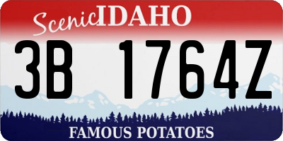 ID license plate 3B1764Z