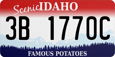 ID license plate 3B1770C