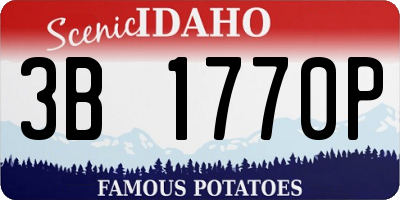 ID license plate 3B1770P