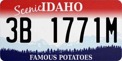 ID license plate 3B1771M