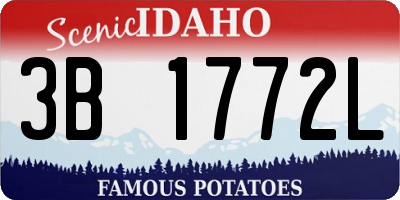 ID license plate 3B1772L