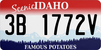ID license plate 3B1772V