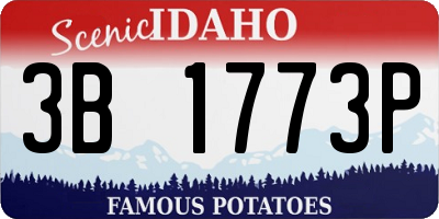 ID license plate 3B1773P