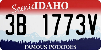 ID license plate 3B1773V