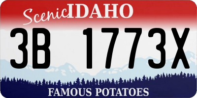 ID license plate 3B1773X