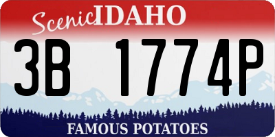 ID license plate 3B1774P