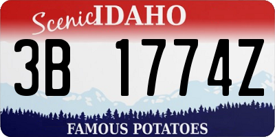 ID license plate 3B1774Z