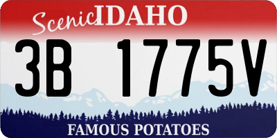 ID license plate 3B1775V