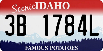 ID license plate 3B1784L