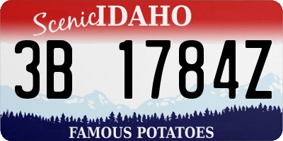 ID license plate 3B1784Z