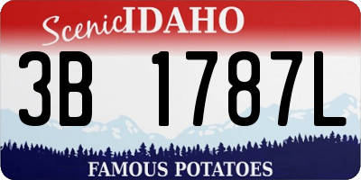 ID license plate 3B1787L