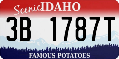 ID license plate 3B1787T