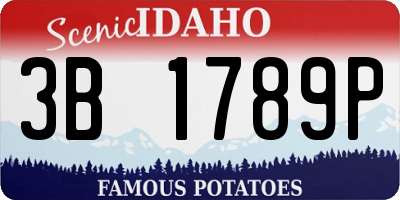 ID license plate 3B1789P
