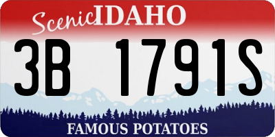ID license plate 3B1791S