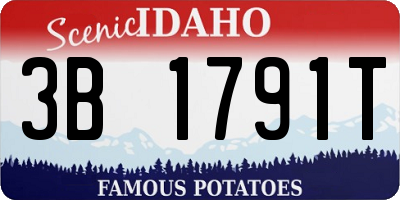 ID license plate 3B1791T