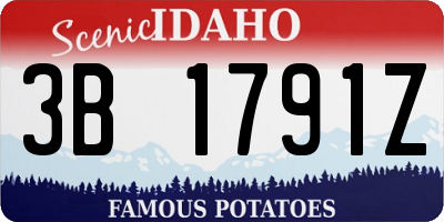ID license plate 3B1791Z