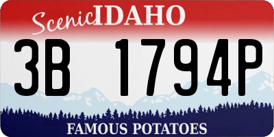 ID license plate 3B1794P