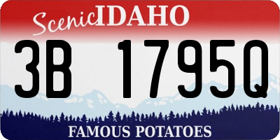 ID license plate 3B1795Q