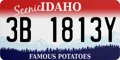 ID license plate 3B1813Y