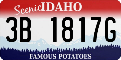 ID license plate 3B1817G