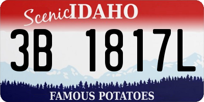 ID license plate 3B1817L