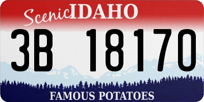 ID license plate 3B1817O