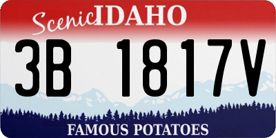 ID license plate 3B1817V
