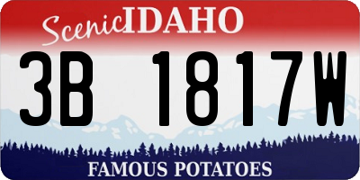 ID license plate 3B1817W