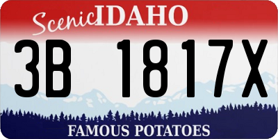 ID license plate 3B1817X