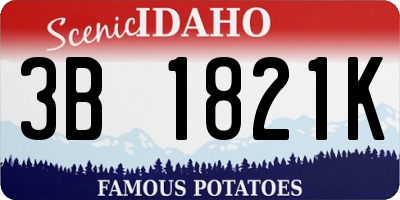 ID license plate 3B1821K