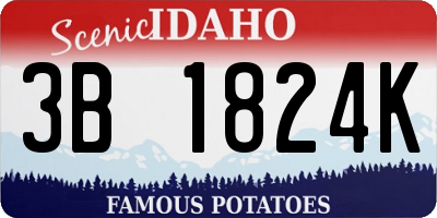 ID license plate 3B1824K